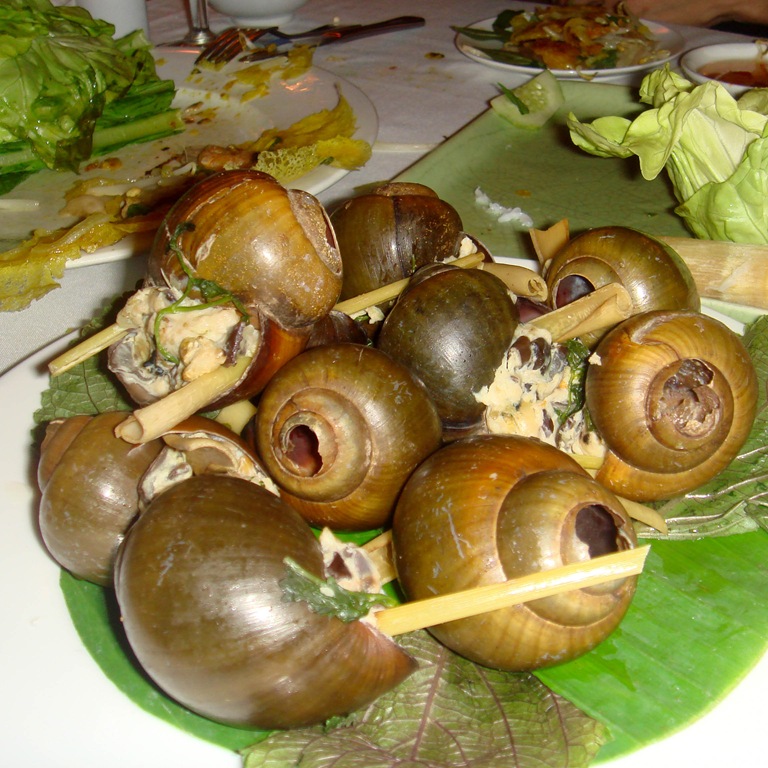 Animals World snails food items