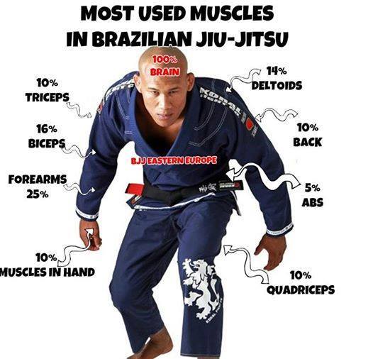 What muscles do you use in the combat sport of BJJ? Combat Sports