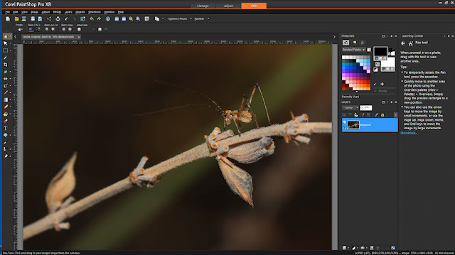 Corel Paintshop Pro X8 Ultimate