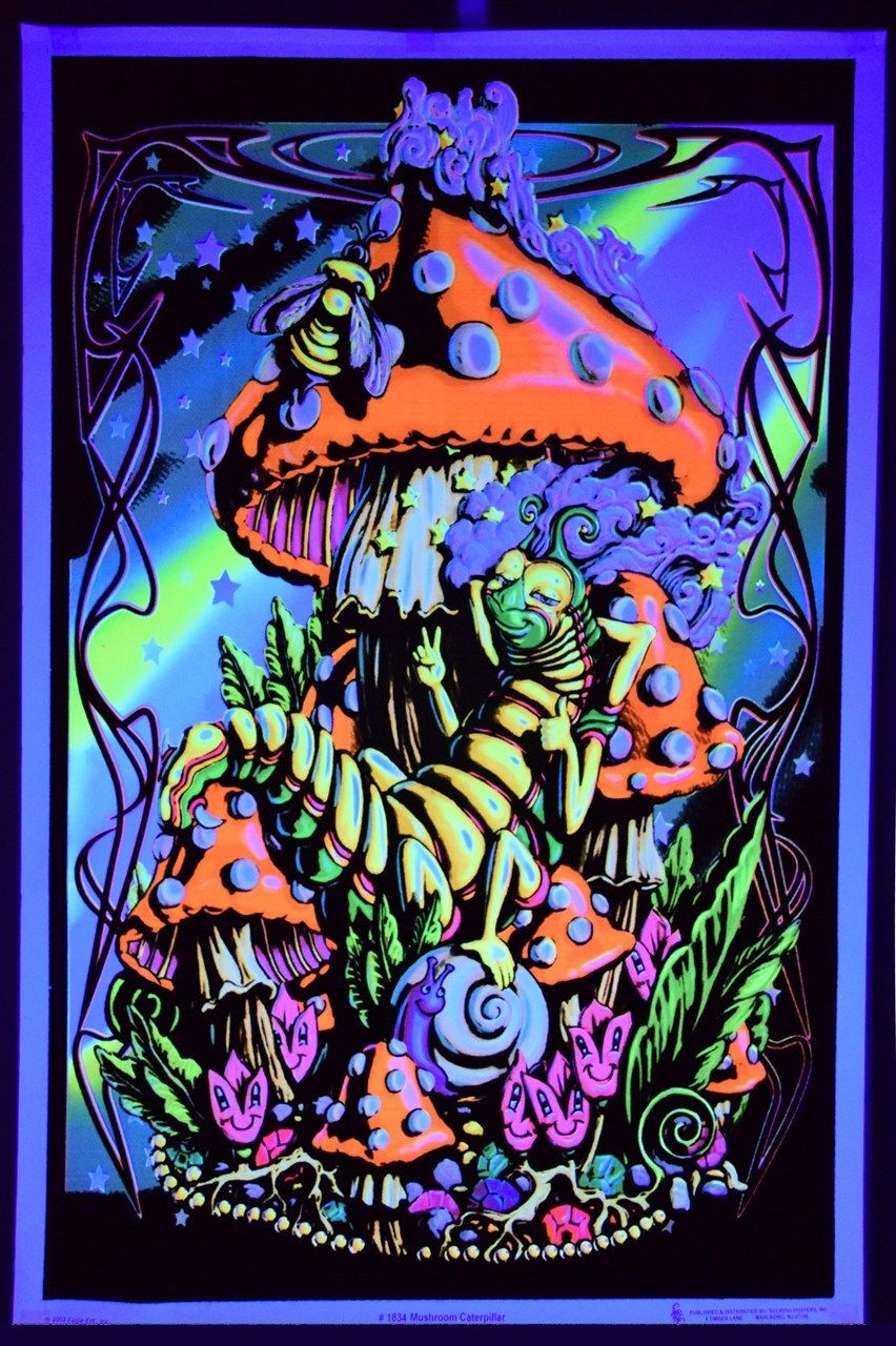 Dasher Deals: Psychedelic Trippy Mushroom Caterpillar ...