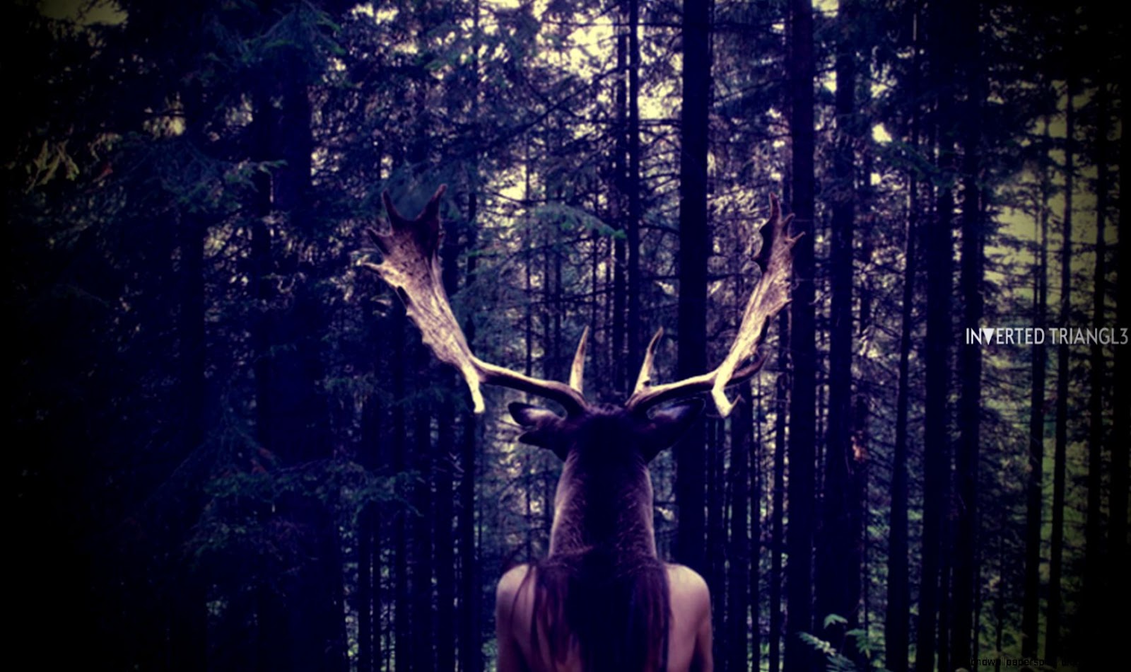 Hipster Triangle Tumblr Hipster Triangle Tumblr