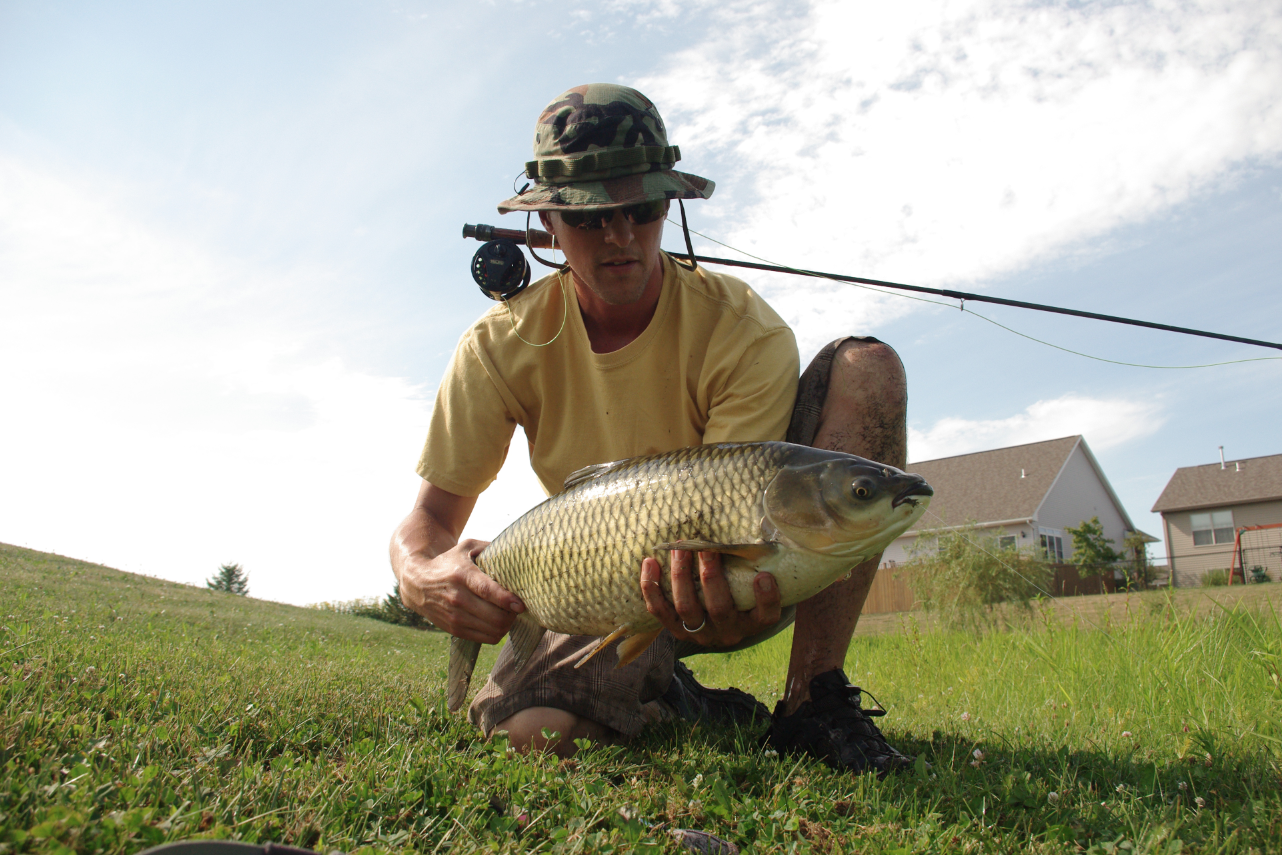 Currents Grass Carp on the Fly