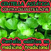 Centella Asiática no combate a celulite