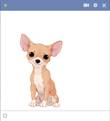 Chihuahua Facebook Sticker