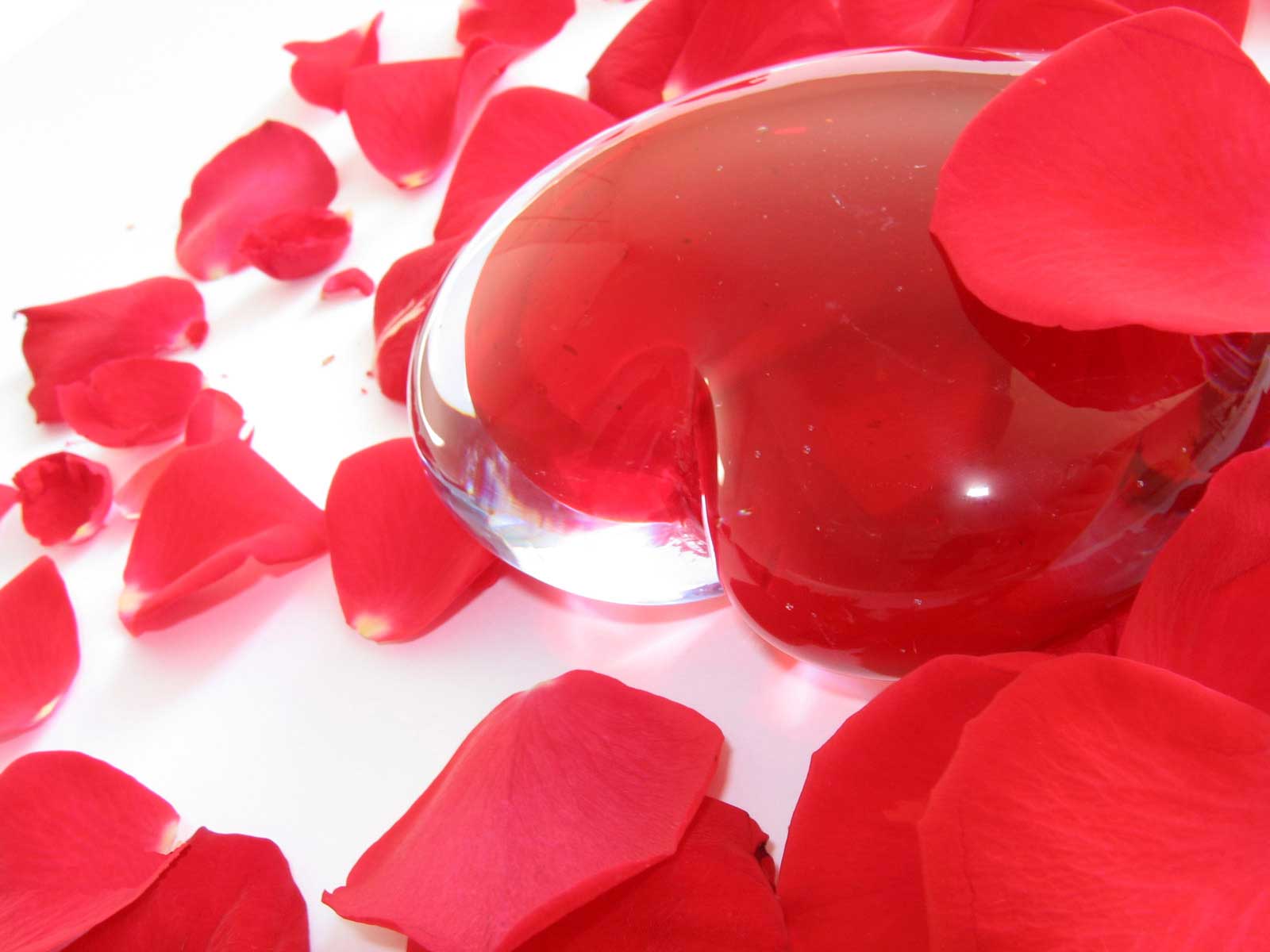 Image Gallery most beautiful love wallpapers