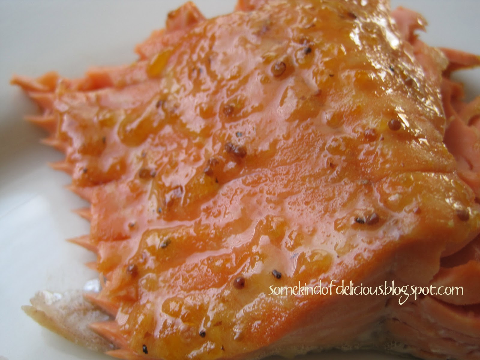 Some Kind of Delicious Broiled Salmon with Apricot Glaze