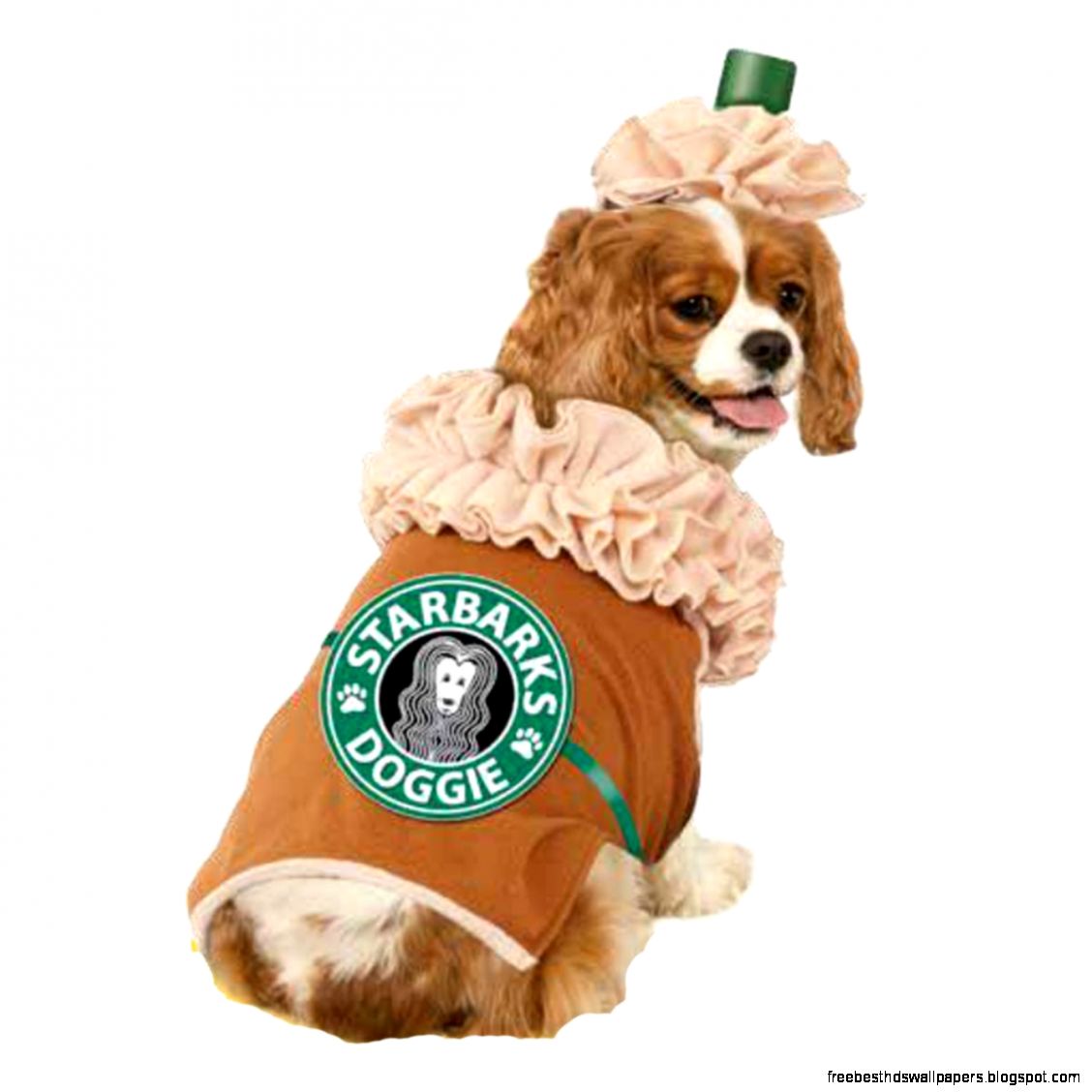 Dog Costumes Dog Costumes