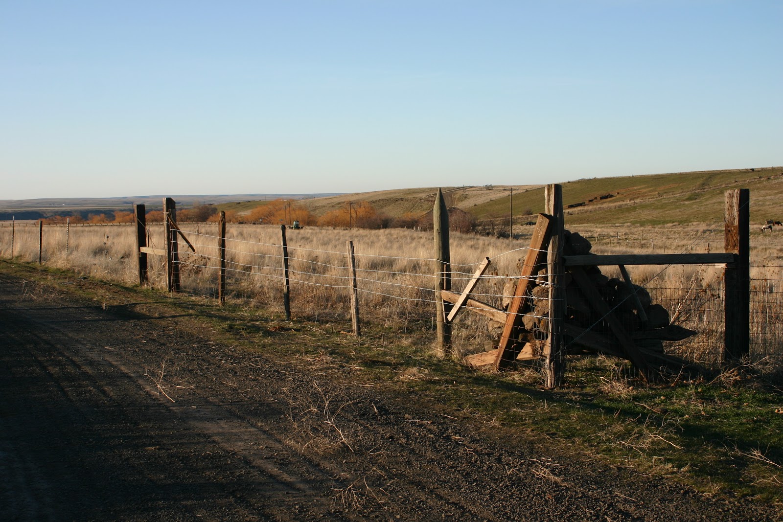 Stewart Creek Somethings Corner rock crib and gate finished.