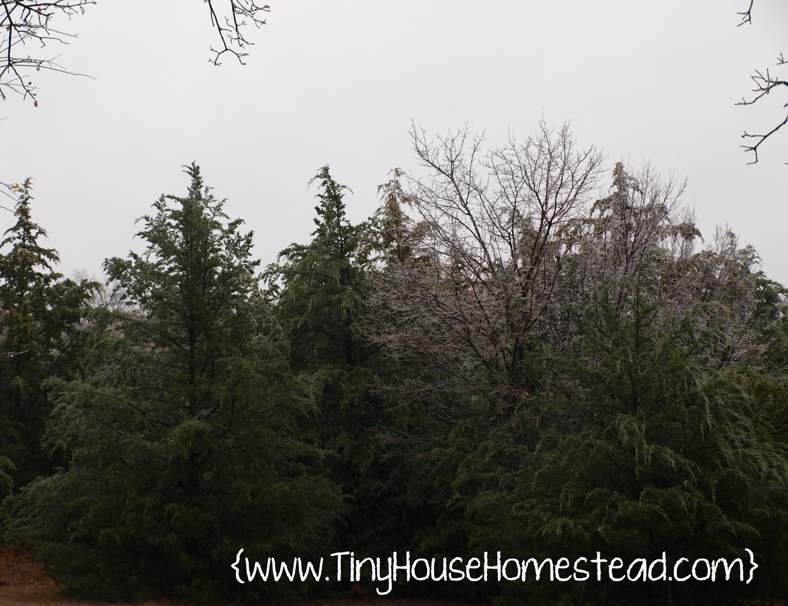 Tiny House Homestead Ice Storm in a Tiny House