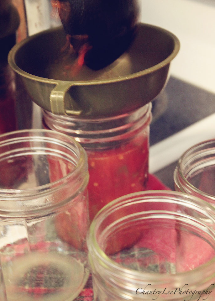 Chantry Lee Photography Canned Tomatoes and Jalapeños