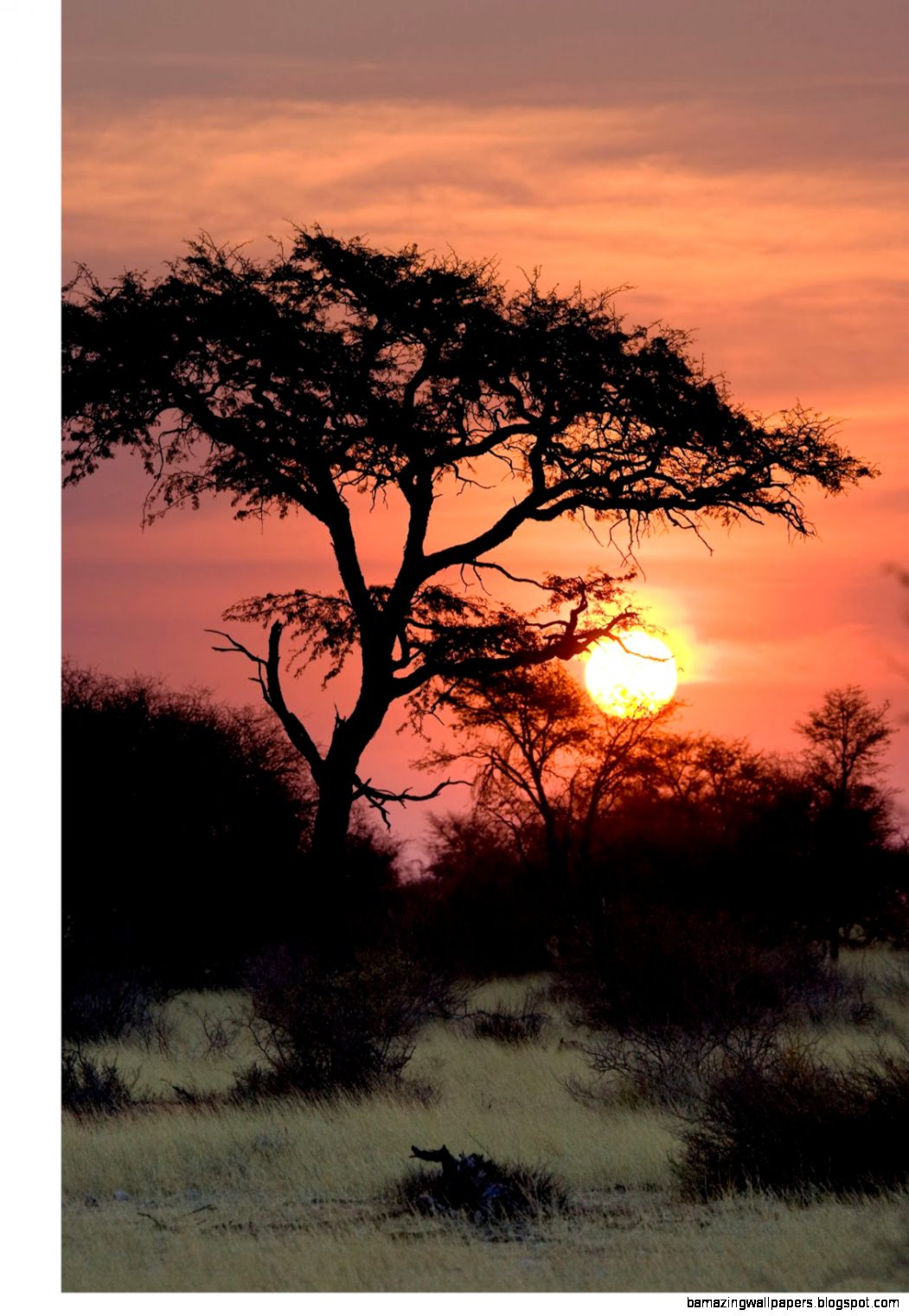 Catalogp5copy Catalogp5copy