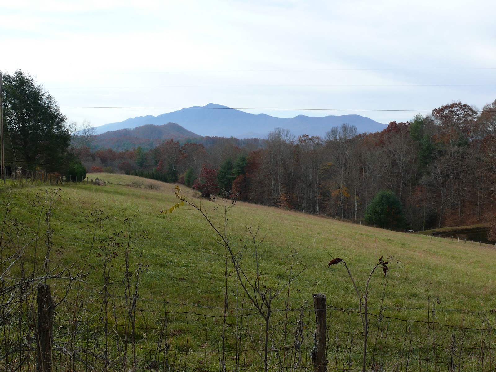 The Cove at Celo Mountain Blog The Cove at Celo Mountain Between