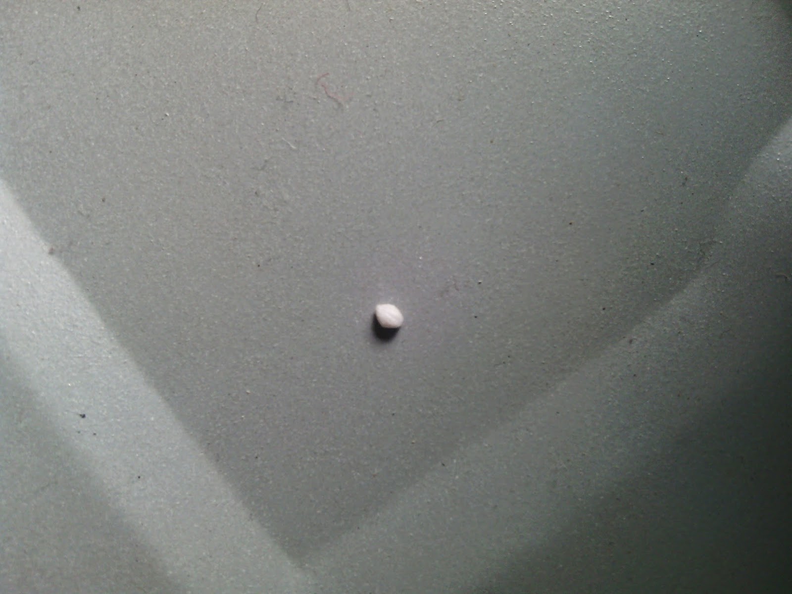 Dvd Player with ''no disc'' error message repaired