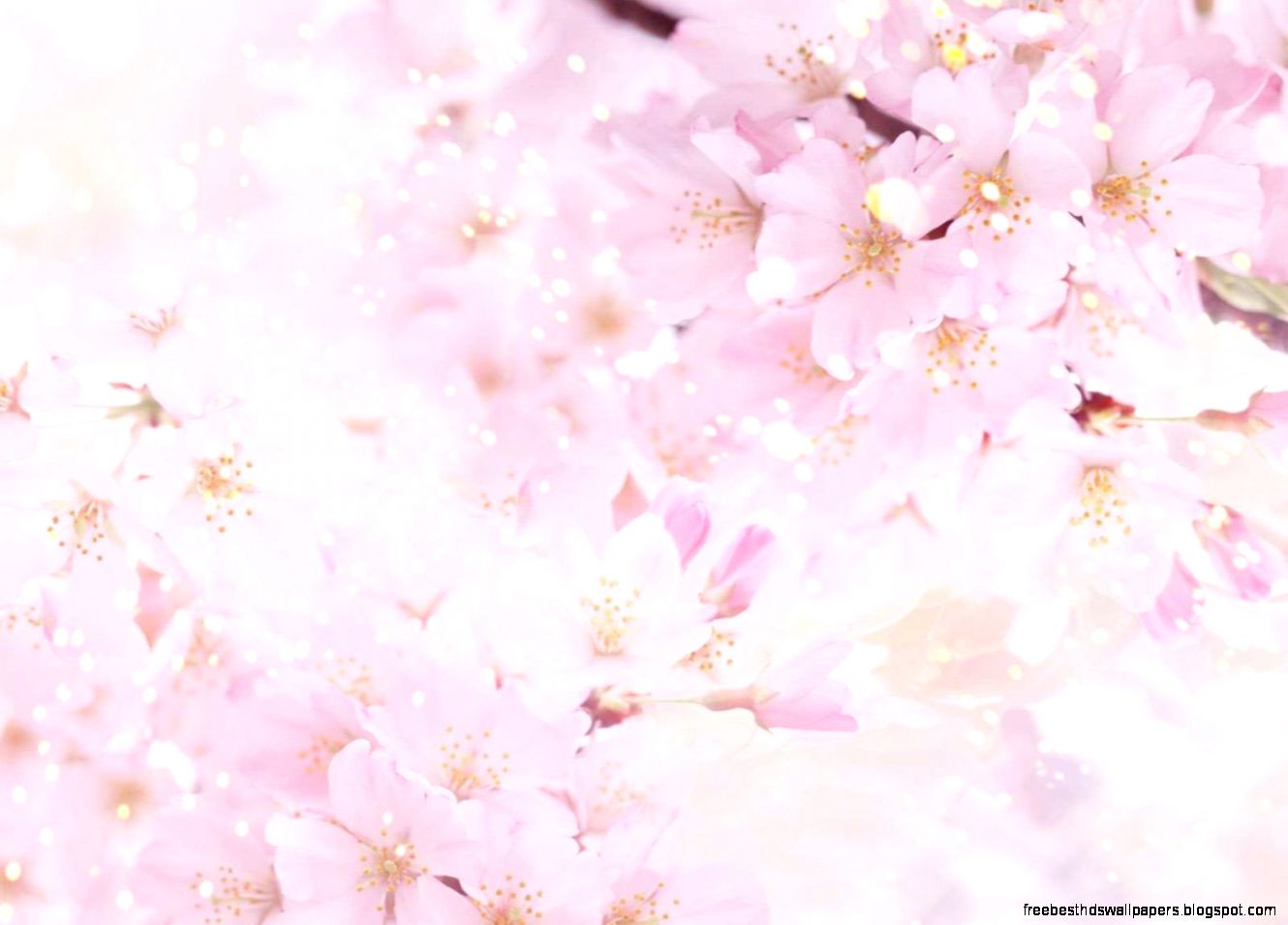 Flowers Background 23 Flowers Background 23