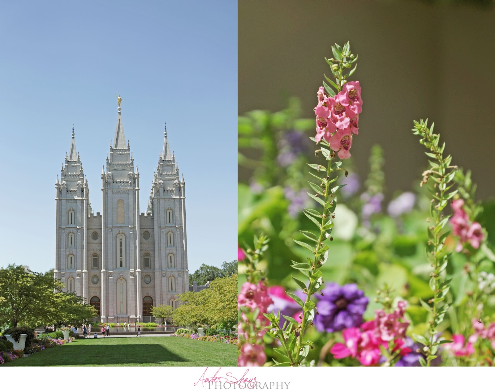 Amber Shaw Photography Salt Lake Temple Wedding Wheeler Farm