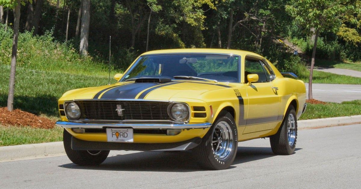 Virginia Classic Mustang Blog Rare Mustangs and Shelbys Display at the