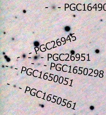 Una supertarantula? NGC2903+y+vecinas+negativo+crop