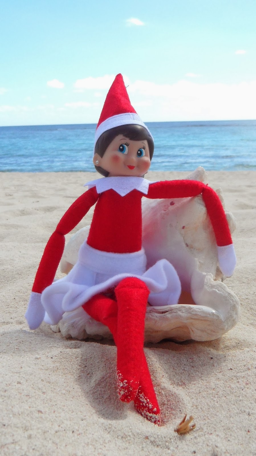 365 days of wonderful Sea Shell Elf on the Shelf