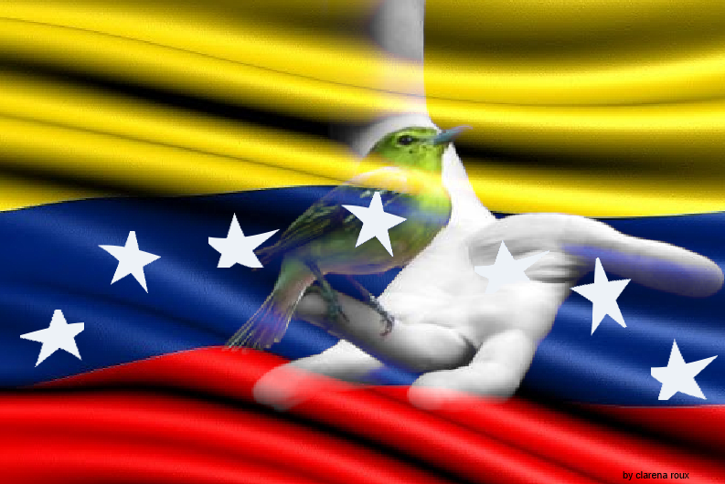 [Anuncio] Donaciones a Venezuela. Album+nav+bandera+venezuela+7+estrellas+10+firmado