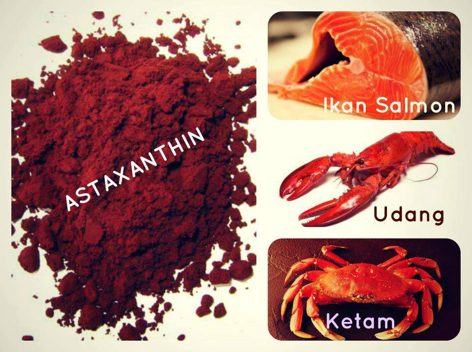 . KEBAIKAN ASTAXANTHIN YANG TERDAPAT DALAM RADIGLOW SKINFINITI