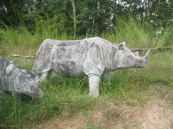 Statue of rhinoceros at Phukhieo Wildlife Sanctuary
