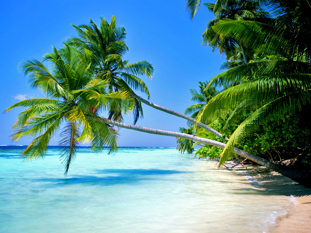 Get Imagens de praias lindas para papel de parede Free HD Imagens De Praias Lindas Para Papel De Parede