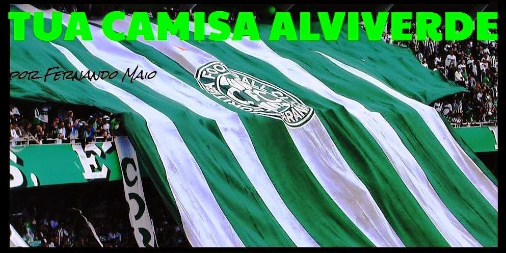 TUA CAMISA ALVIVERDE