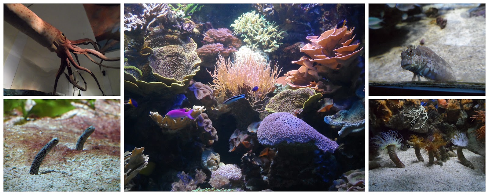 Settling Into Salzburg Haus Der Natur