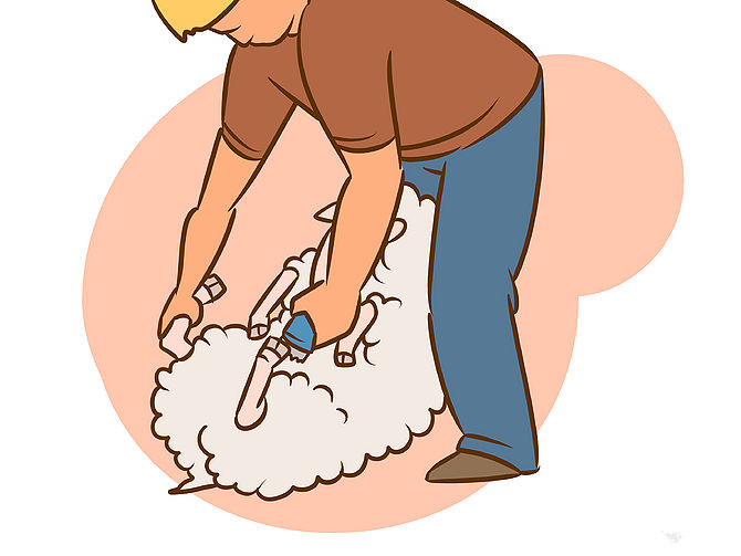 Electric Sheep Shears How to Shear a Sheep (with pictures)