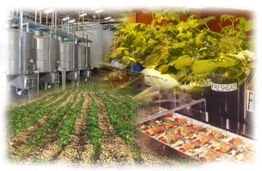 Tecnicas Agroalimentaria 7sem Ing Agroindistrial 