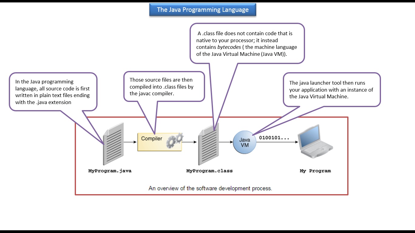 마다가스카의 펭귄