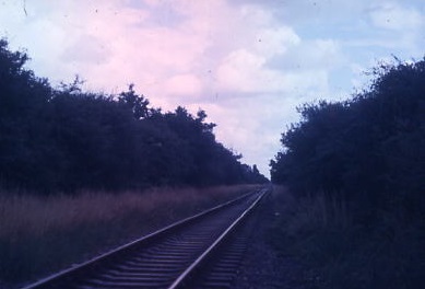 View towards Gosport from Newgate Lane Bridge 1985