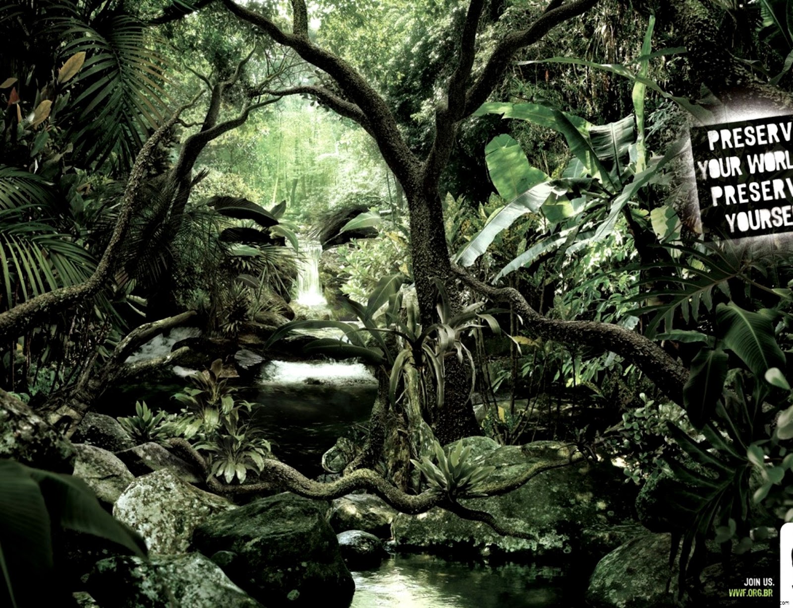 Monde le visage peint de fonds de faune Monde le visage peint de fonds de faune