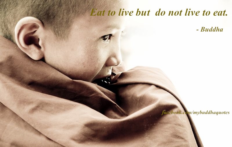 Buddha's Dharma January 2013