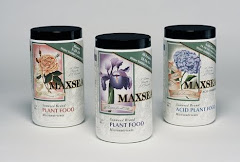 MAXSEA Seaweed Organic Plant Food