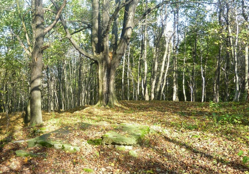 Zwischen Kaltenberg Und Nolde Am Rande Des Lausitzer Gebirges