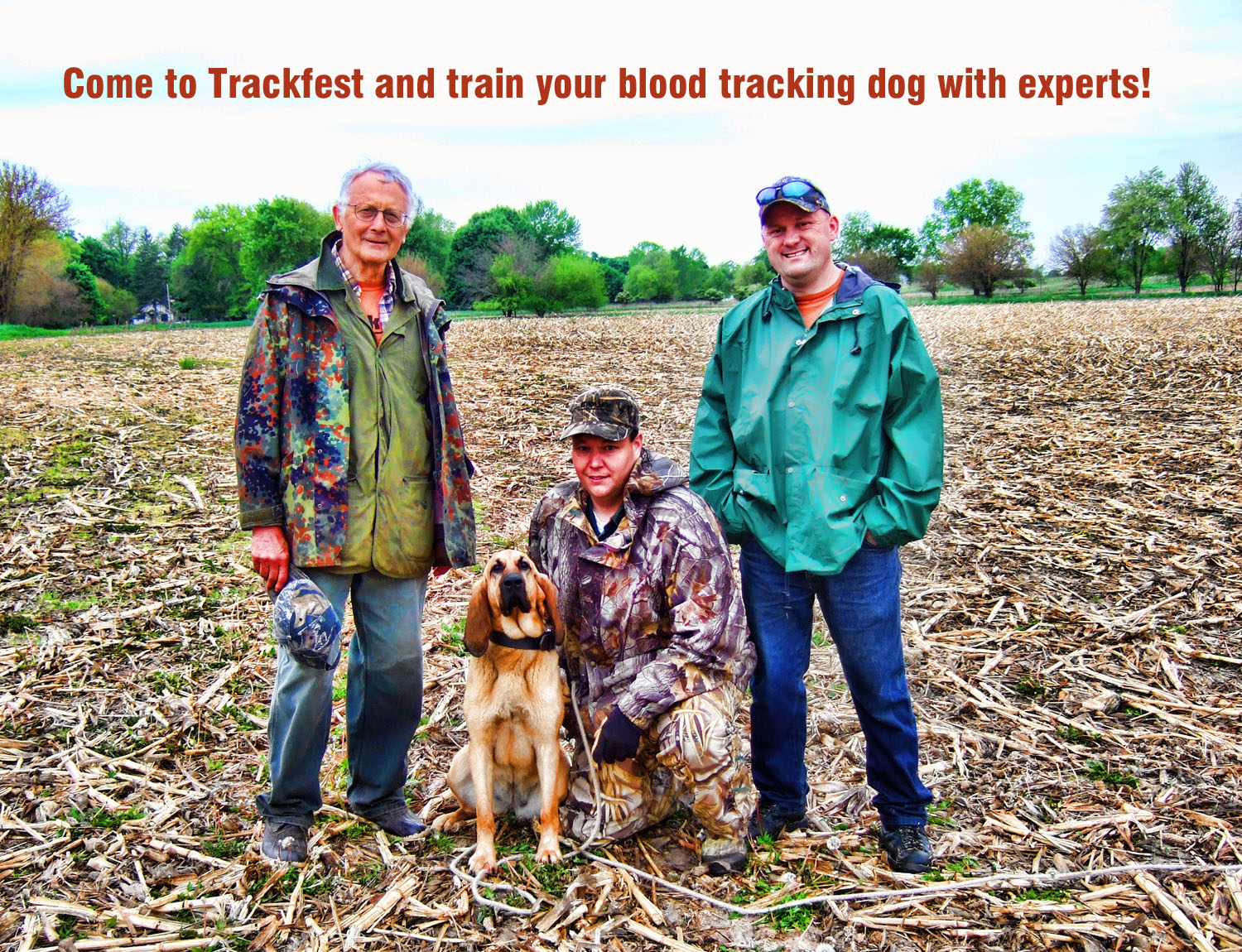 BORNTOTRACK BLOG Do you need help with training your blood tracking dog?