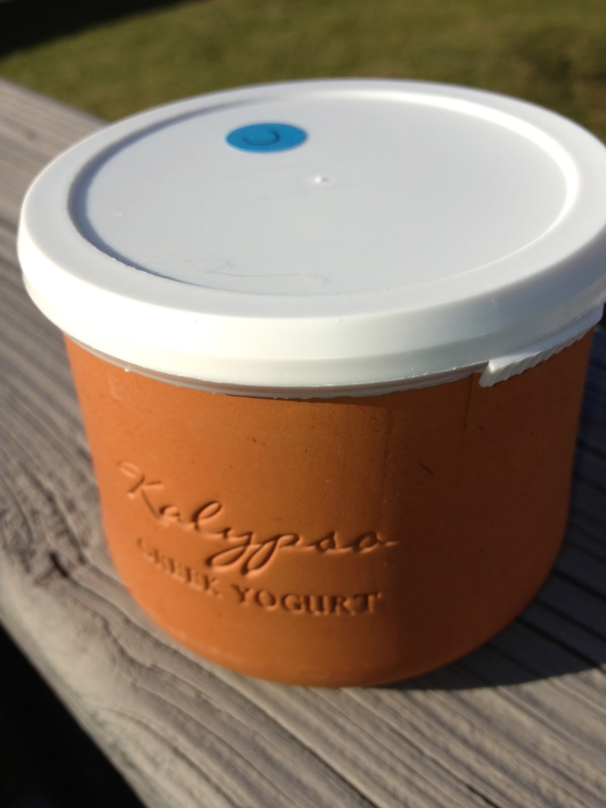 Culinary Types Nick Trastelis of Kalypso Greek Yogurt Tradition Made New