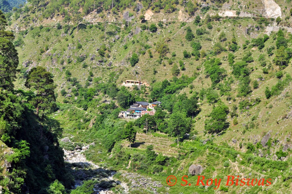 S Roy Biswas Enchanting Himachal Visiting Chowari Jot