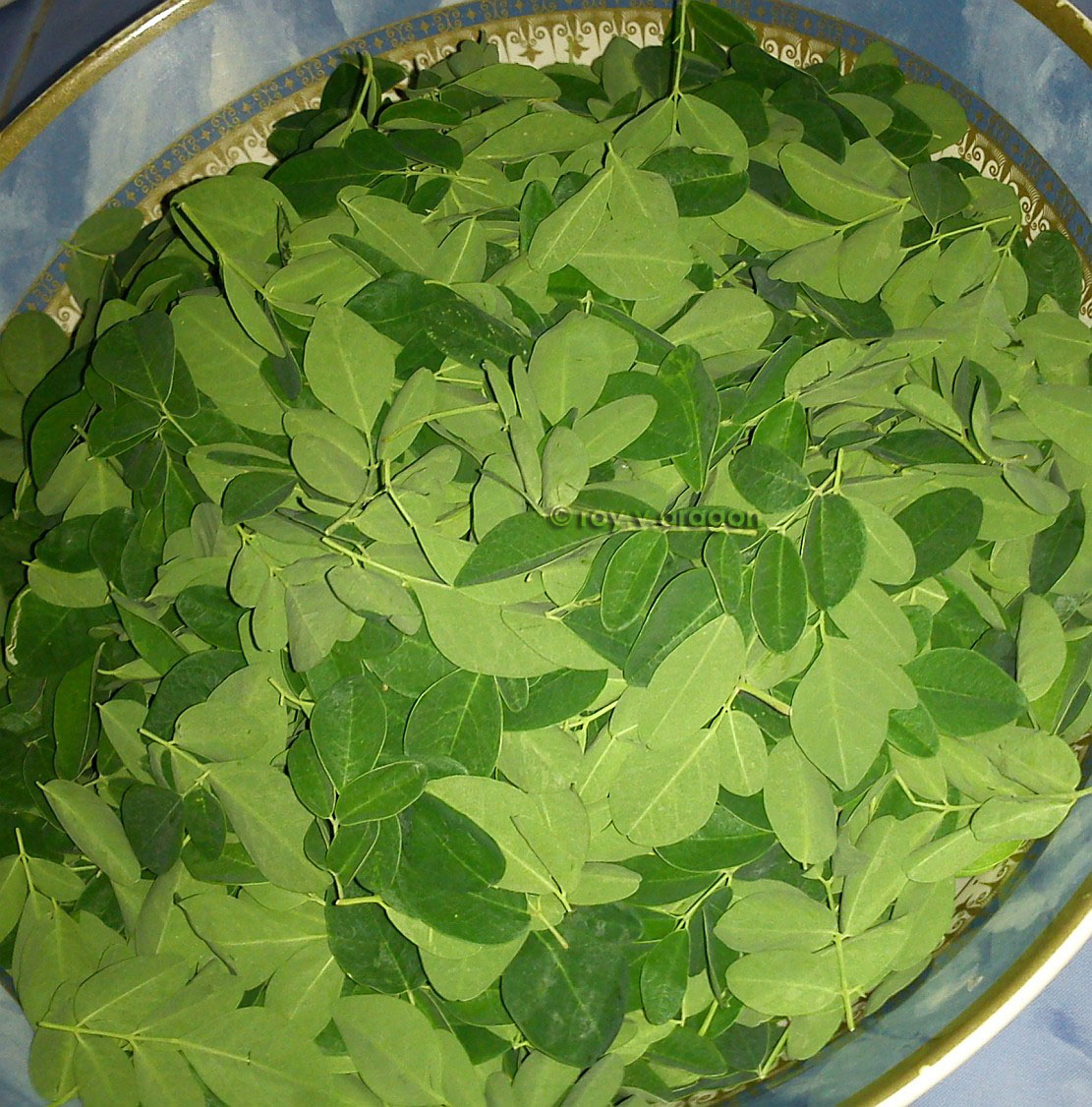 dinengdeng a saba! banana/plantain stew PINAKBET REPUBLIC