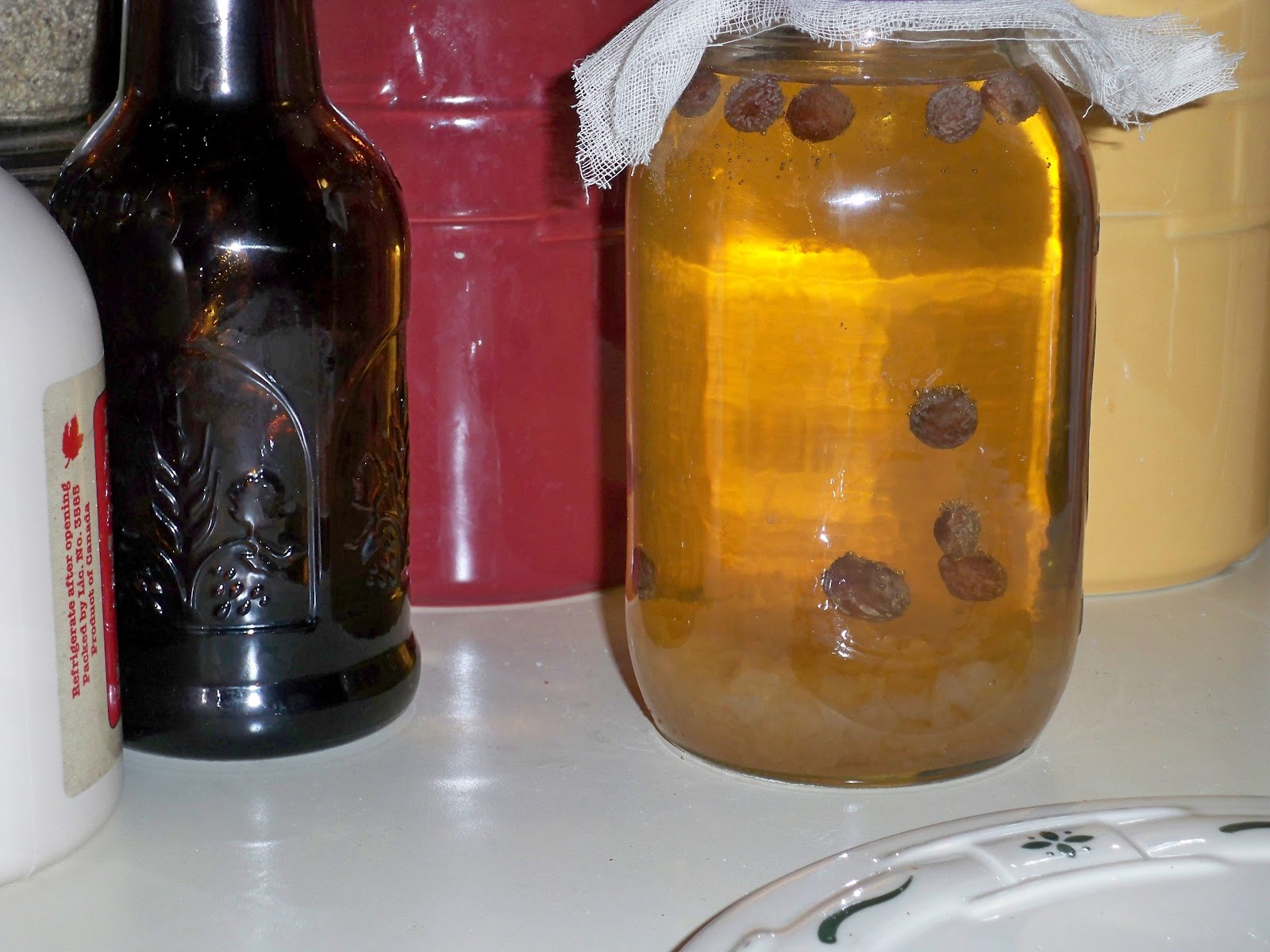 My Table Kefir Water to Ginger Beer