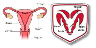 Dodge Logo Uterus