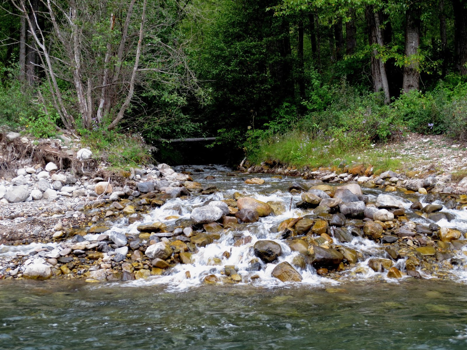 McCool Creek running into the Elk River Idaho Fly Fishers Blog