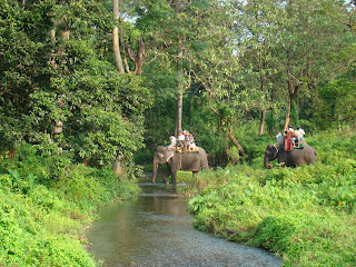 Jaldapara Wildlife Sanctuary