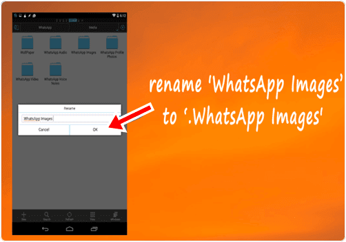 rename whatsapp mobile folder