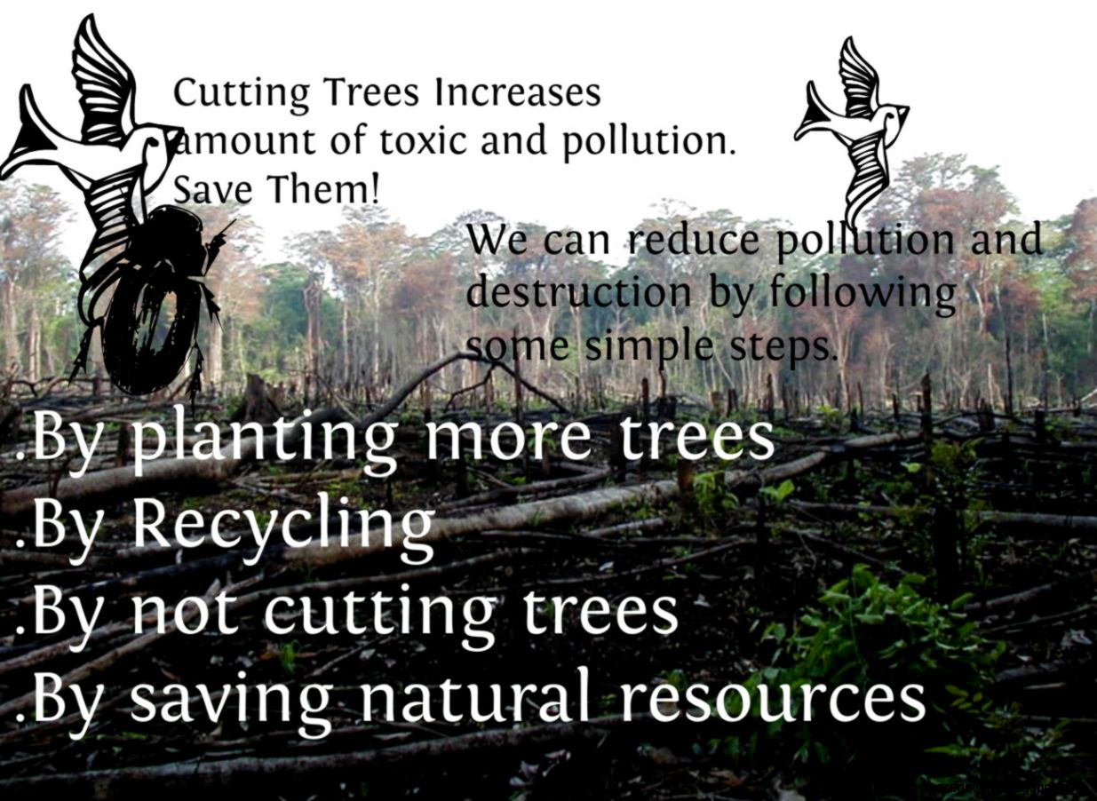 Destruction of Tropical Rainforests Save Them Publish with Destruction of Tropical Rainforests Save Them Publish with