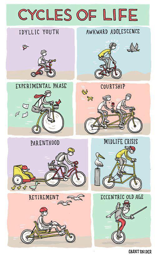 The Bicycle Mechanic Amusing Images for Cyclists
