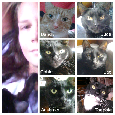 Meet the Wayward Pussy Crew