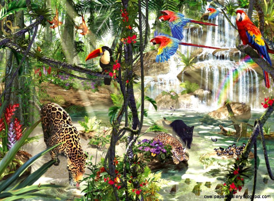 Cats Jungle Life Rainforest Birds Cats Wild Background Pictures Cats Jungle Life Rainforest Birds Cats Wild Background Pictures