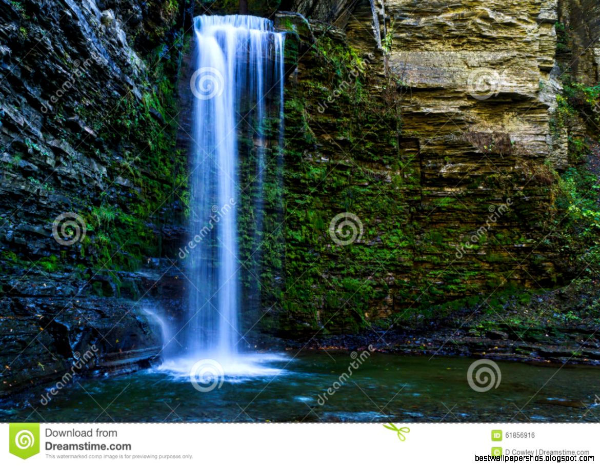 beautiful forest waterfall long exposure shot 61856916 beautiful forest waterfall long exposure shot 61856916